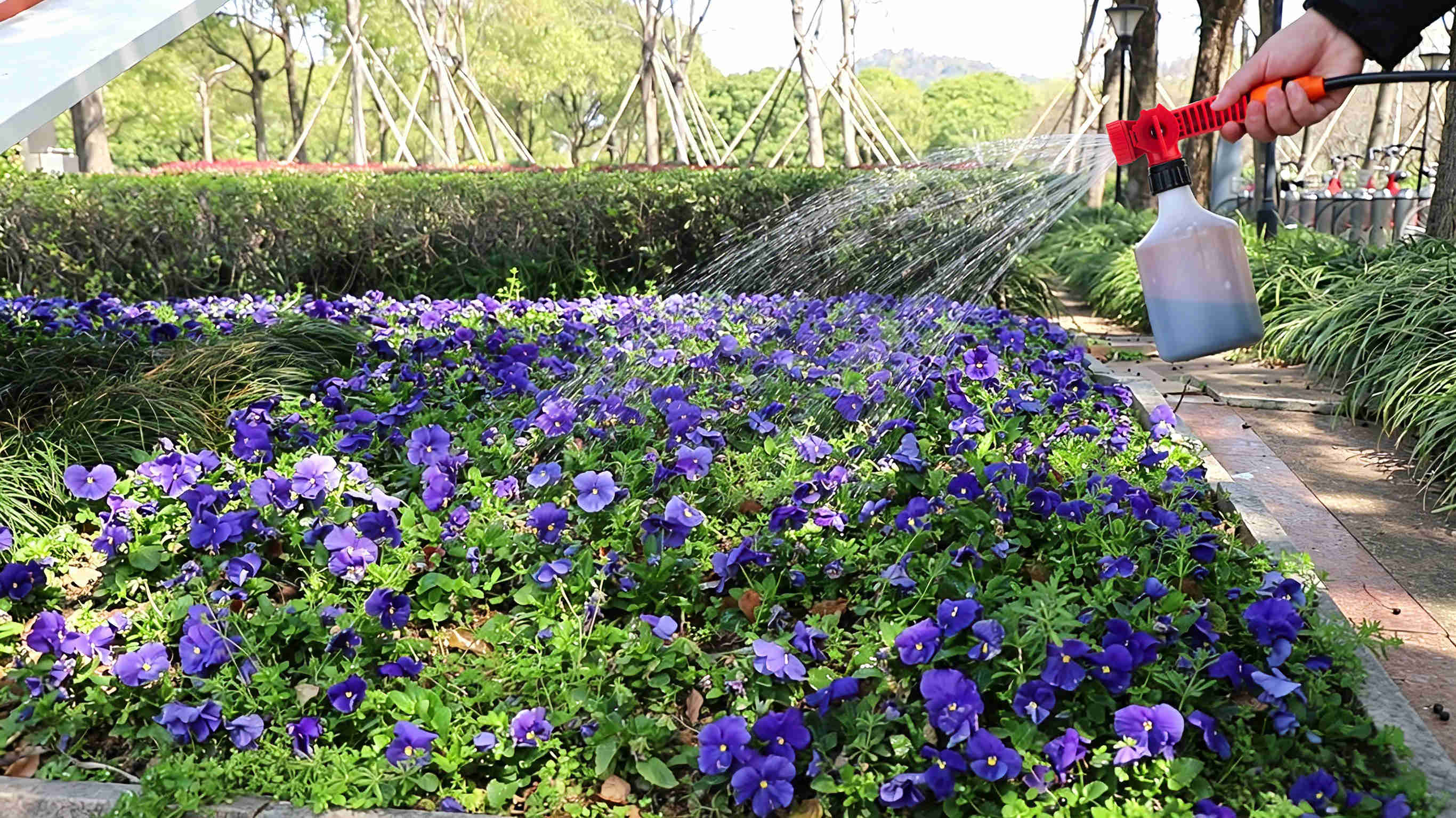 Manuten&ccedil;&atilde;o de jardins e plantas