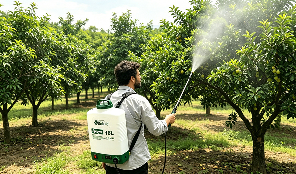 Agricultura e Pomares