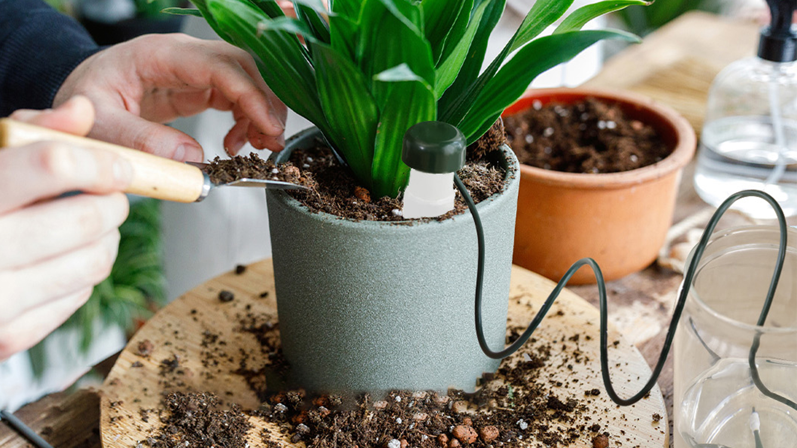Regador automático de plantas para sistema de rega de jardim de plantas internas e externas (pequeno)